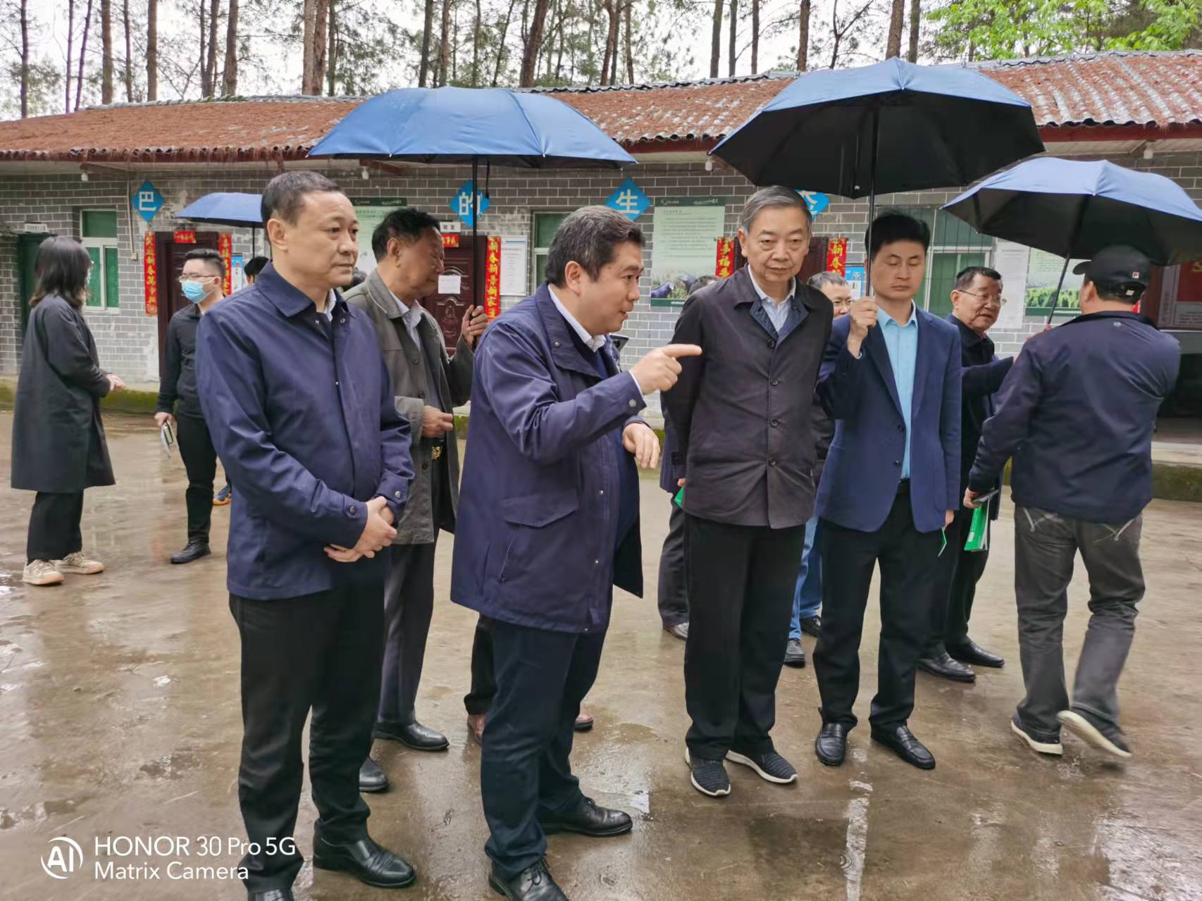 17349c93ecbdc346a3525b79304776d