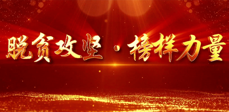 全國脫貧攻堅總結表彰大會在北京人民大會堂隆重舉行