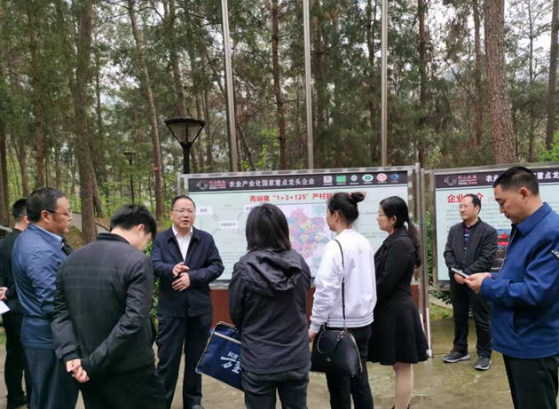 通江縣副縣長萬學成一行調研青峪豬加工生產情況